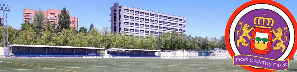 Campo Municipal de Futbol Foresta A